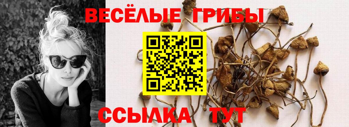 Псилоцибиновые грибы Magic Shrooms Грязи