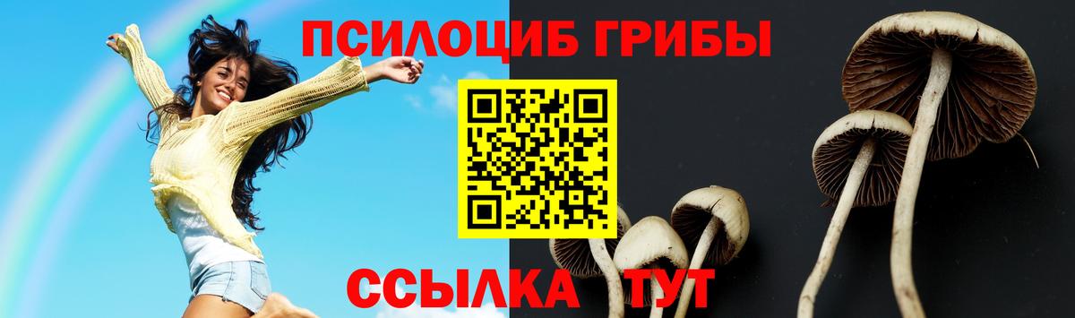 Псилоцибиновые грибы мицелий  Вход с VPN  Грязи  Псилоцибиновые грибы Cubensis 
